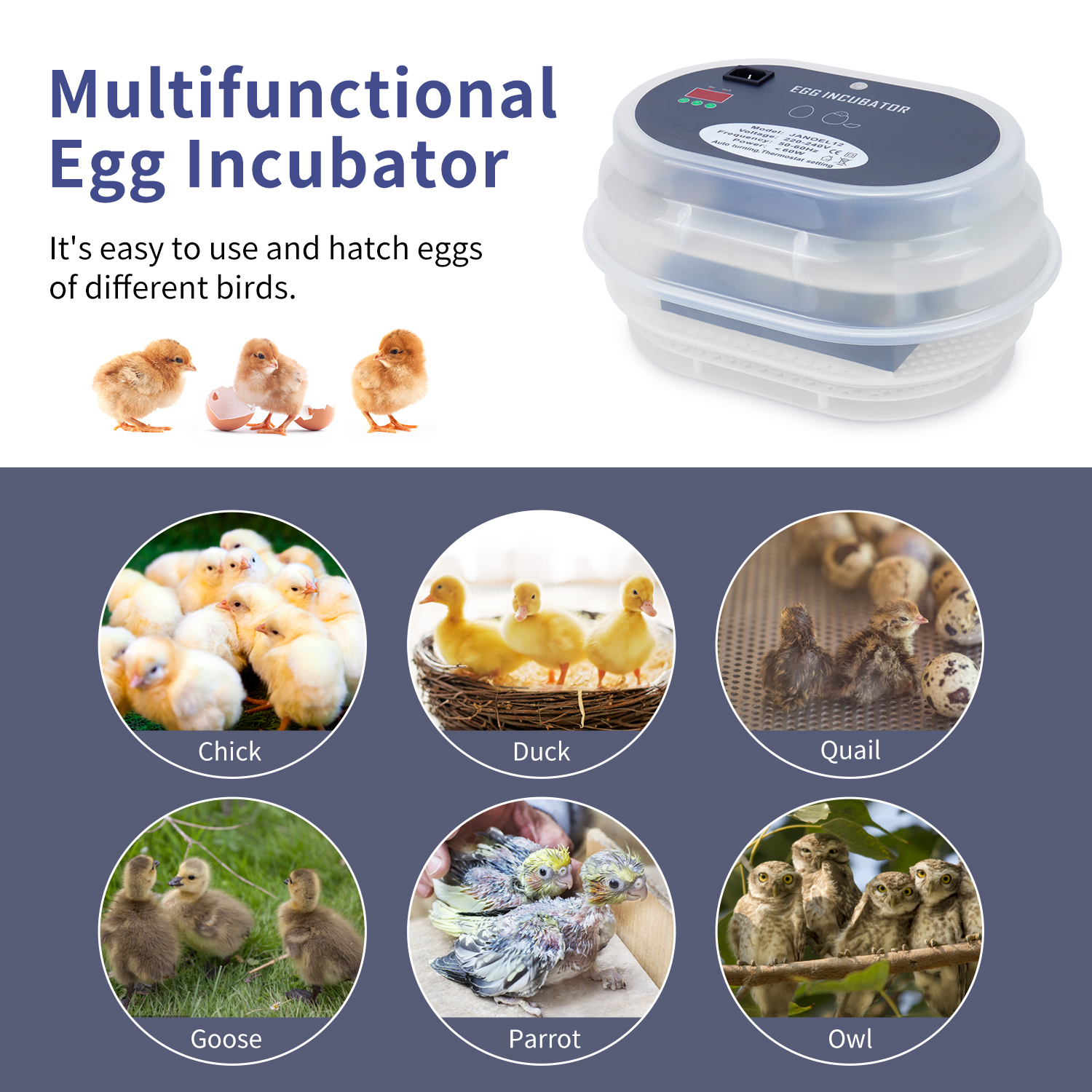 Automatic Mini Egg Incubator 12 Eggs Brooding Machine for Chicken Duck Quail from China