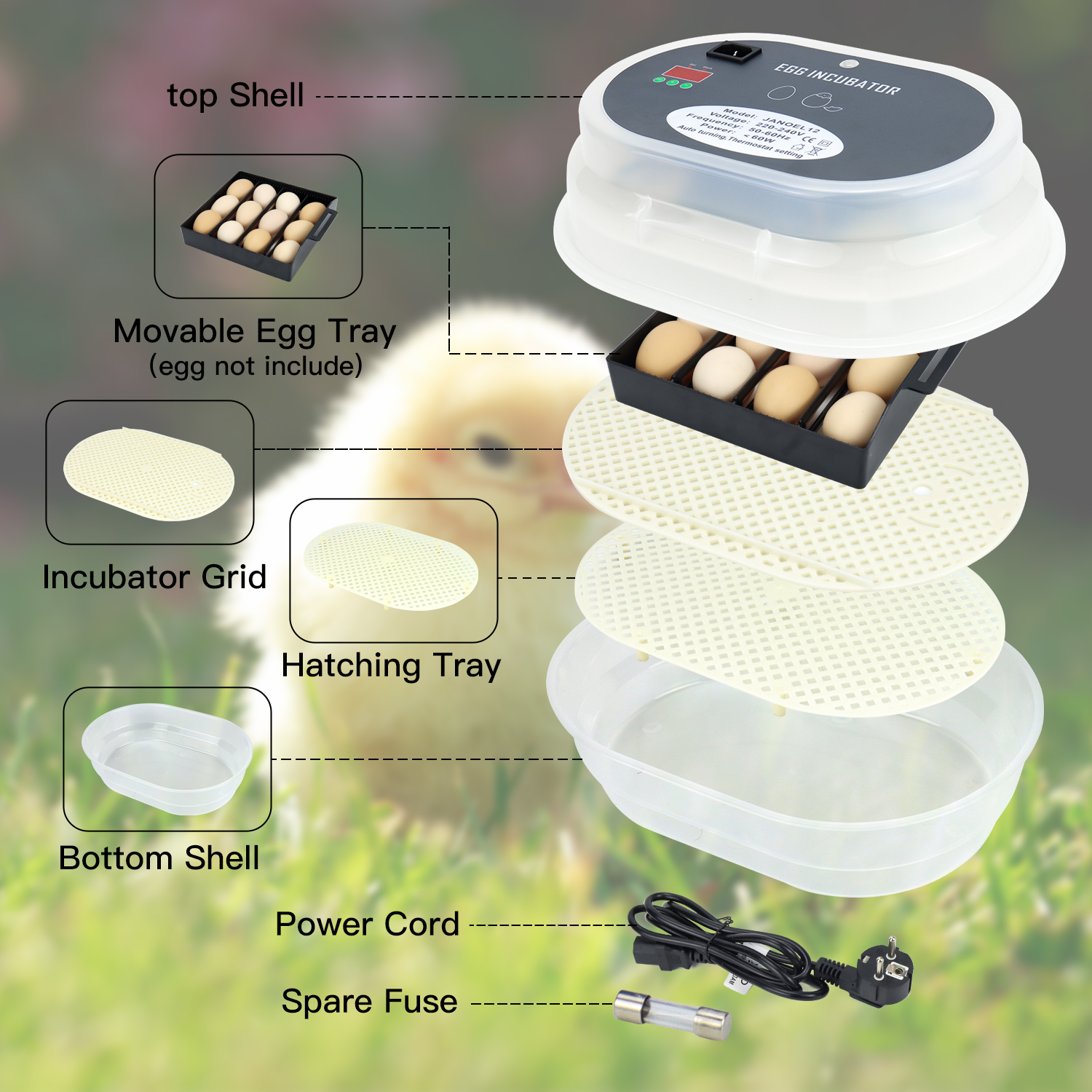 Small Cute Quail Chicken Egg Incubator 12 Eggs Automatic Hatcher from China manufacturer Janoel